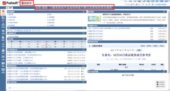 純b s架構(gòu)的erp軟件,哪家的比較好